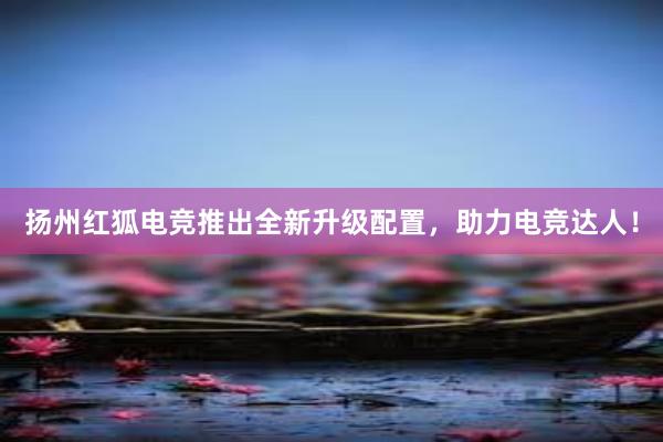 扬州红狐电竞推出全新升级配置，助力电竞达人！